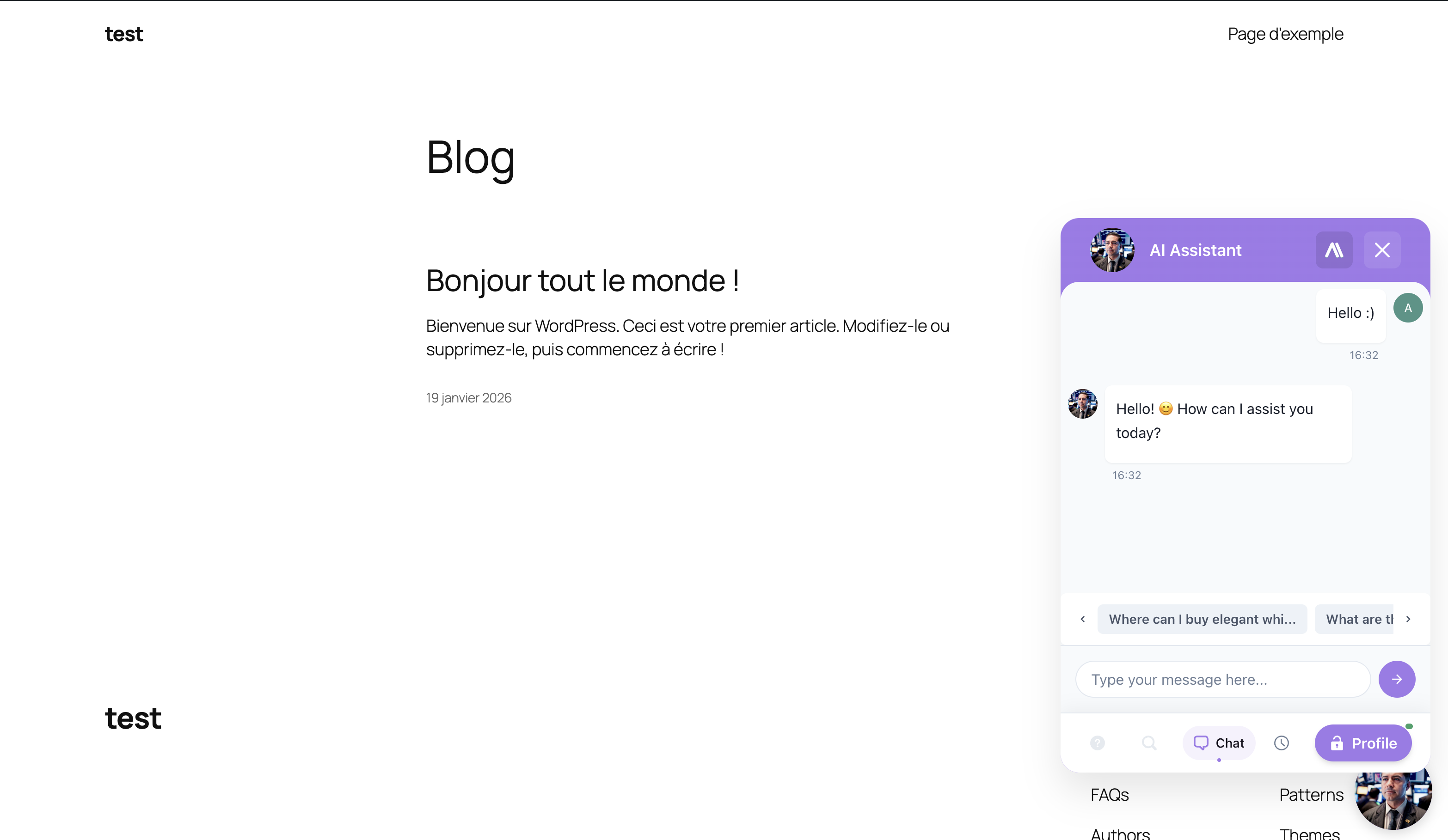 Chatbot WordPress en direct